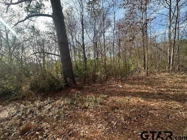 a view of a yard with trees