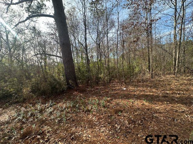 286 Garrison Tx 75946 Garrison, TX 75946 - Photo 3 of 5 a view of a yard with trees