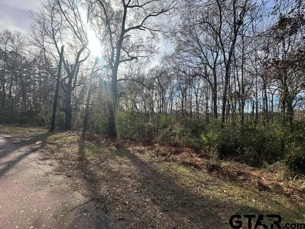 a view of a forest with trees in the background