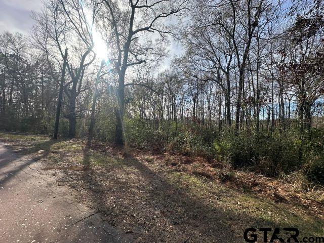 286 Garrison Tx 75946 Garrison, TX 75946 - Photo 4 of 5 a view of a forest with trees in the background