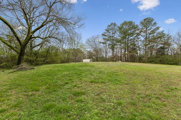 a view of green field with trees in the background