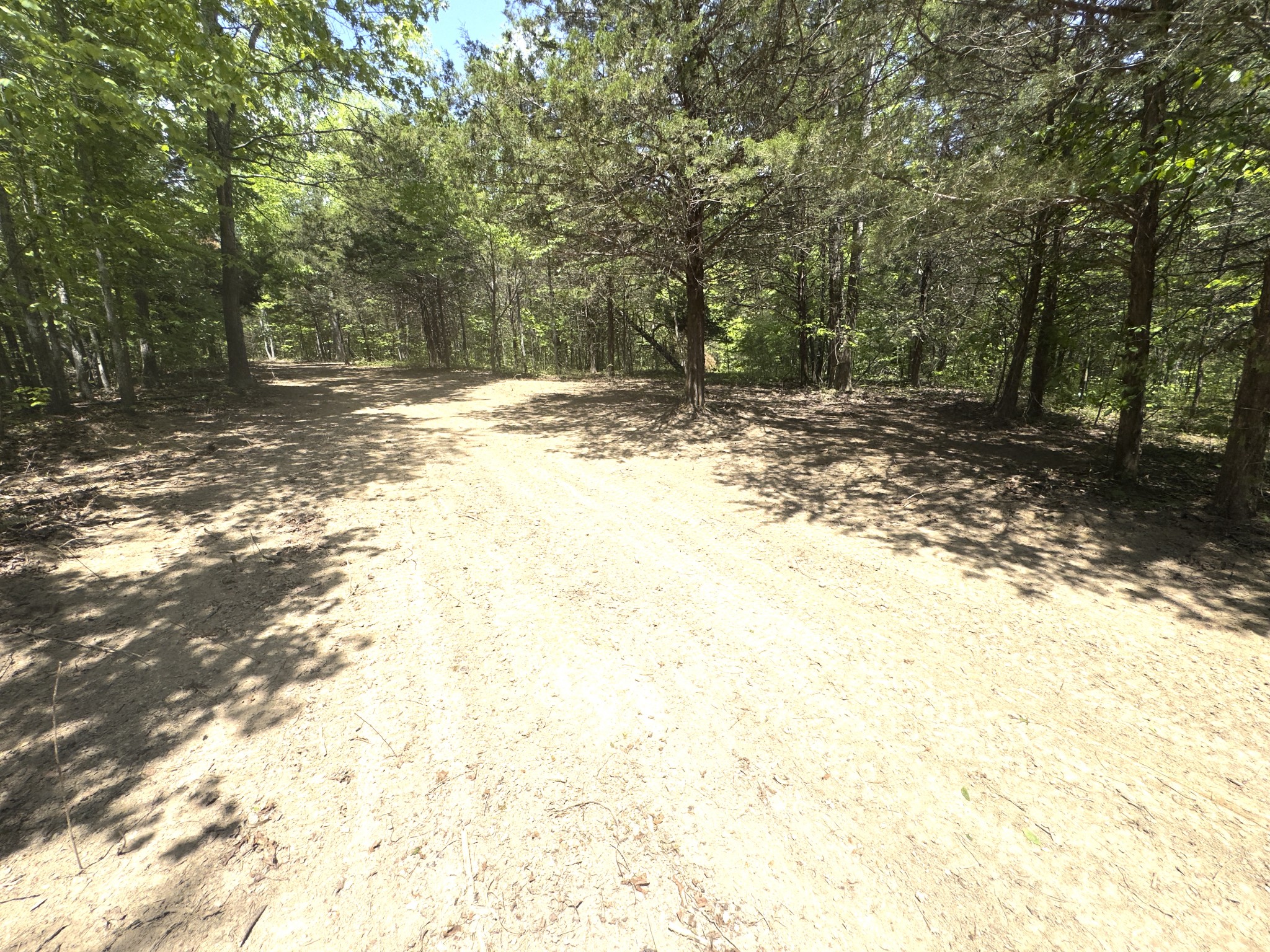 0 Westfork Creek Road Westmoreland, TN 37186 - Photo 11 of 17 a view of a yard with trees