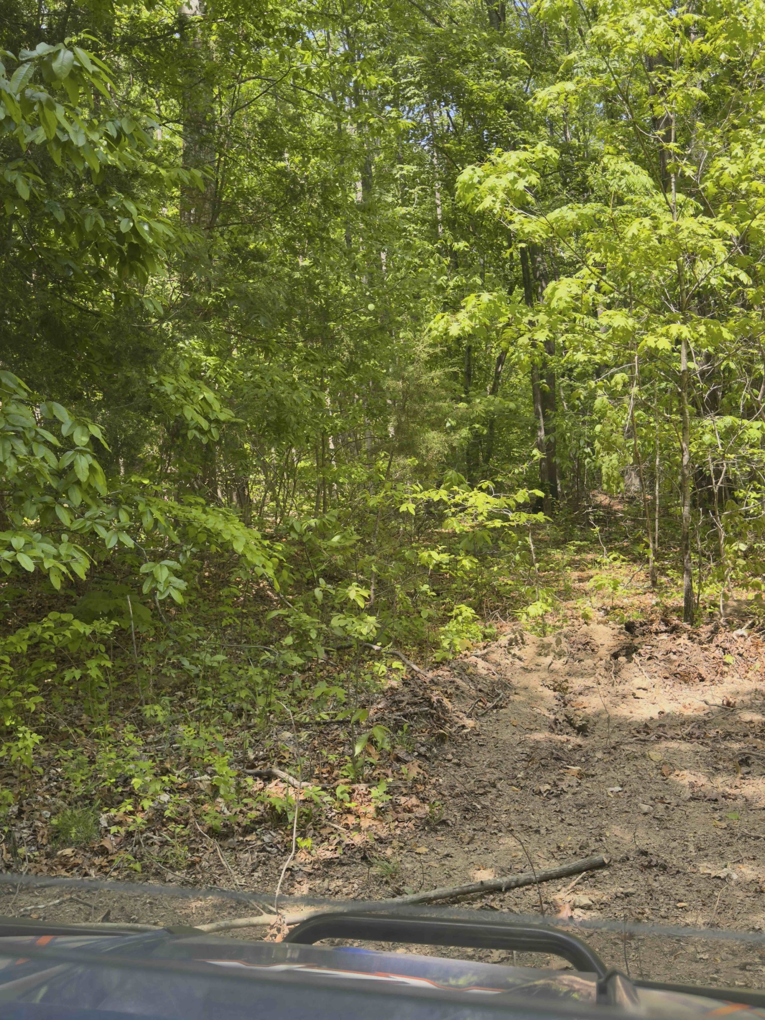 0 Westfork Creek Road Westmoreland, TN 37186 - Photo 12 of 17 a view of a yard with plants
