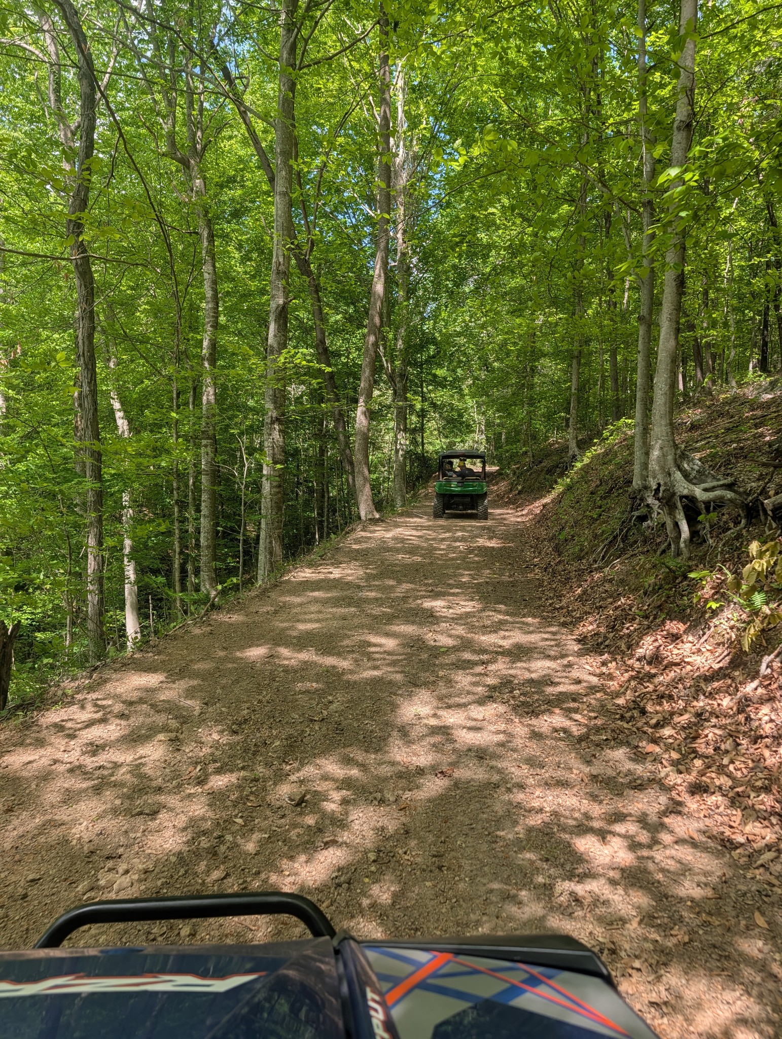 0 Westfork Creek Road Westmoreland, TN 37186 - Photo 13 of 17 a backyard of a house with lots of green space