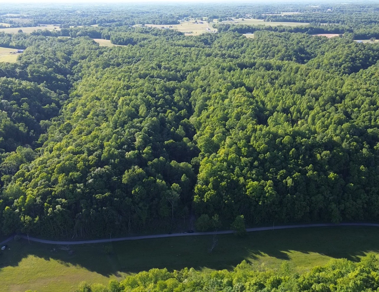 0 Westfork Creek Road Westmoreland, TN 37186 - Photo 14 of 17