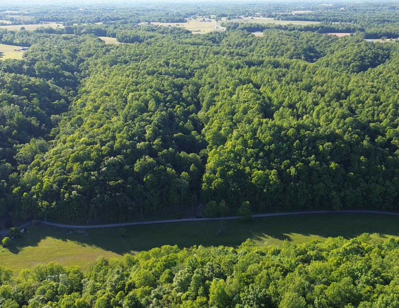 0 Westfork Creek Road Westmoreland, TN 37186 - Photo 2 of 17