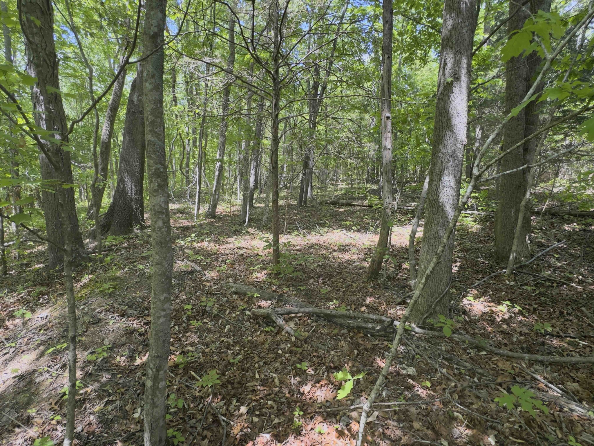 0 Westfork Creek Road Westmoreland, TN 37186 - Photo 3 of 17 a view of outdoor space and trees