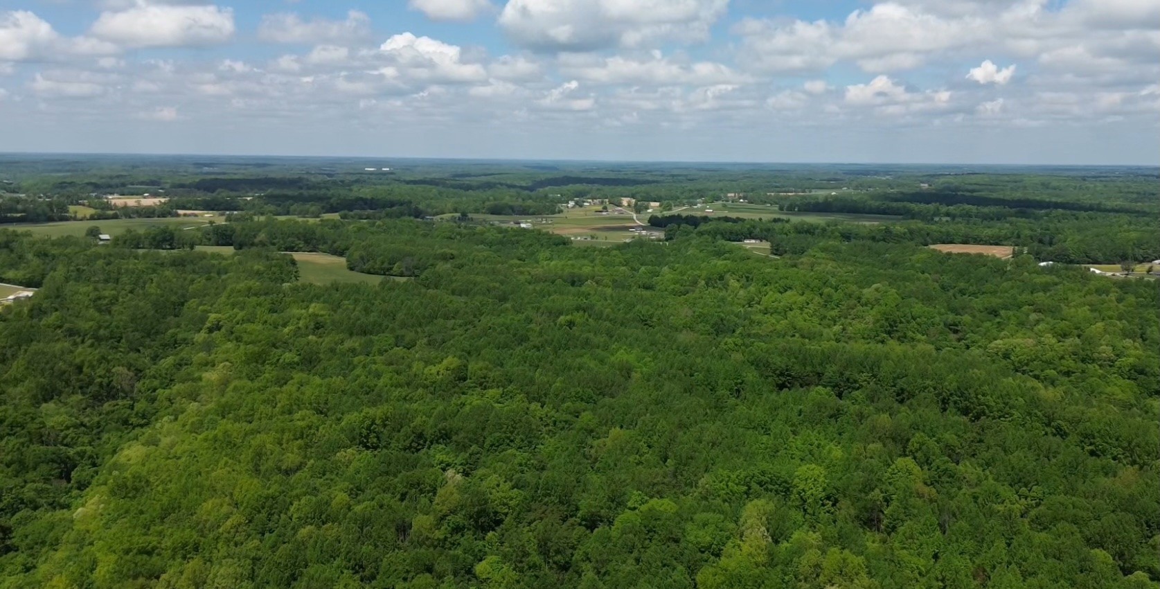 0 Westfork Creek Road Westmoreland, TN 37186 - Photo 6 of 17 a view of a city