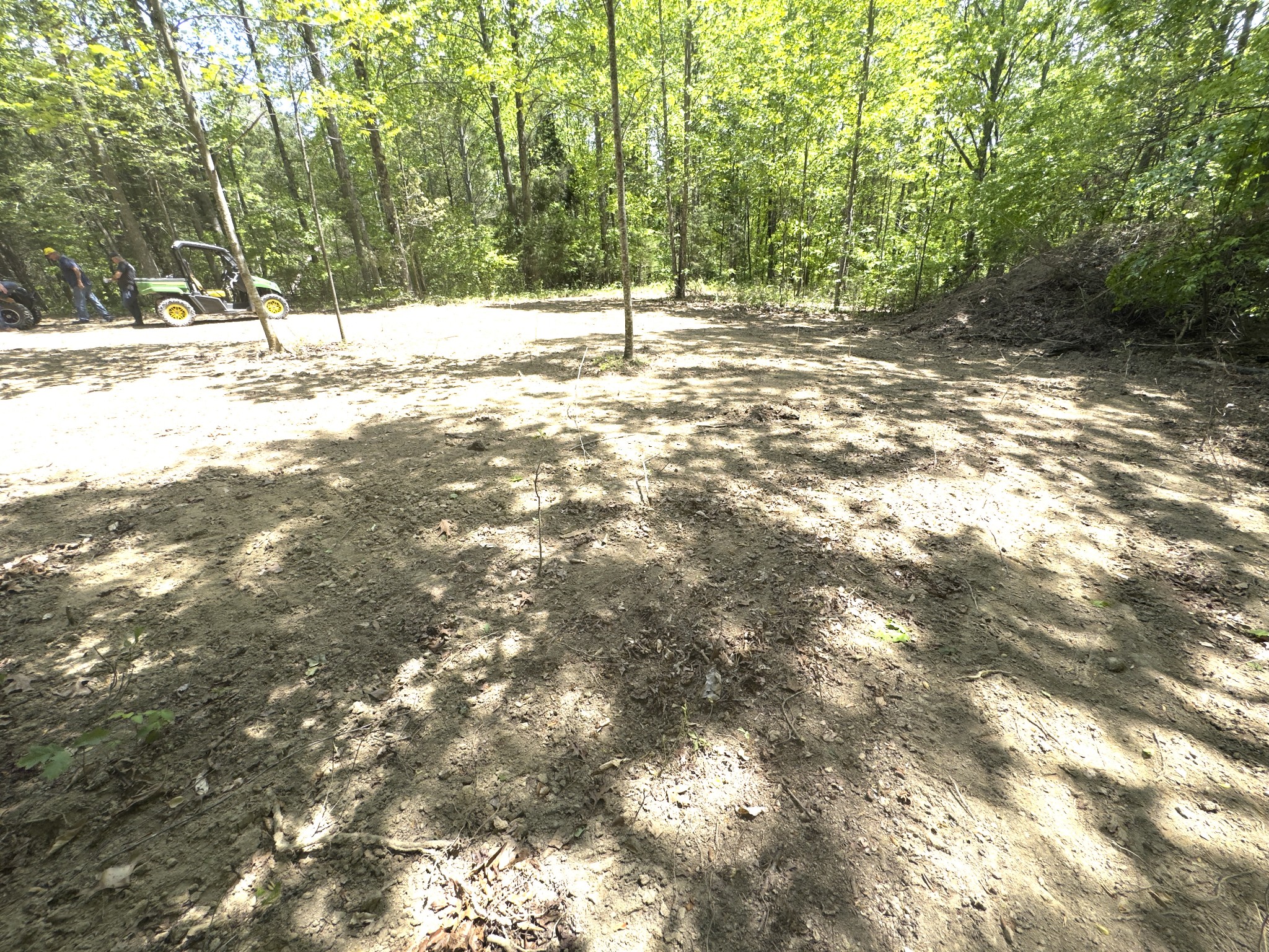 0 Westfork Creek Road Westmoreland, TN 37186 - Photo 7 of 17 a view of a yard with a tree