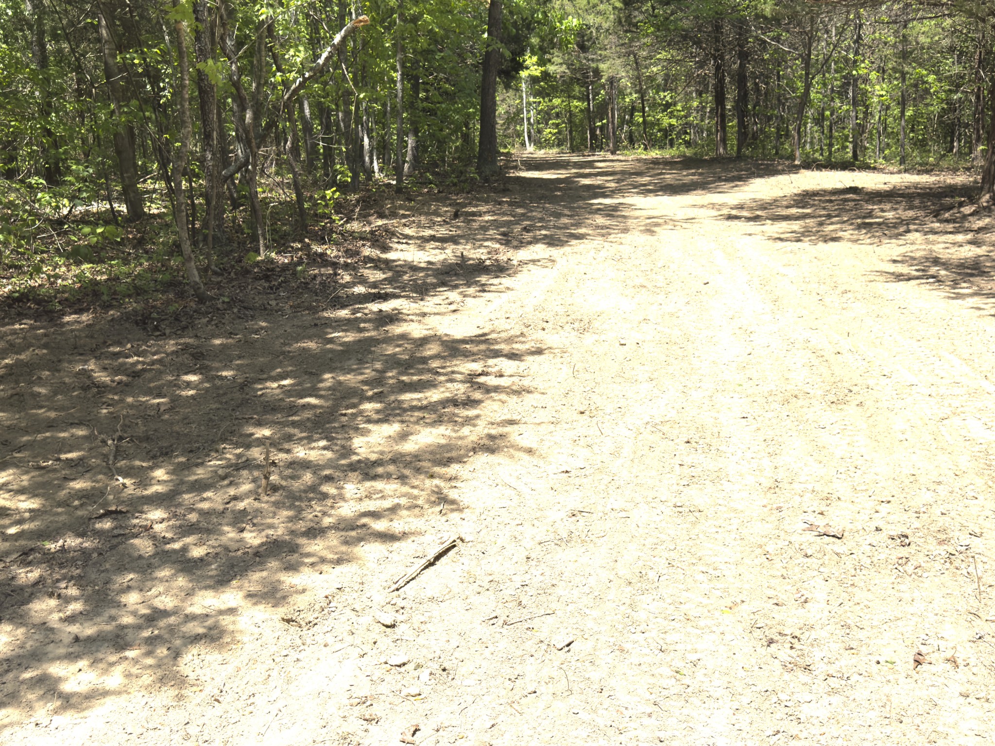 0 Westfork Creek Road Westmoreland, TN 37186 - Photo 10 of 17 a view of a yard with a tree
