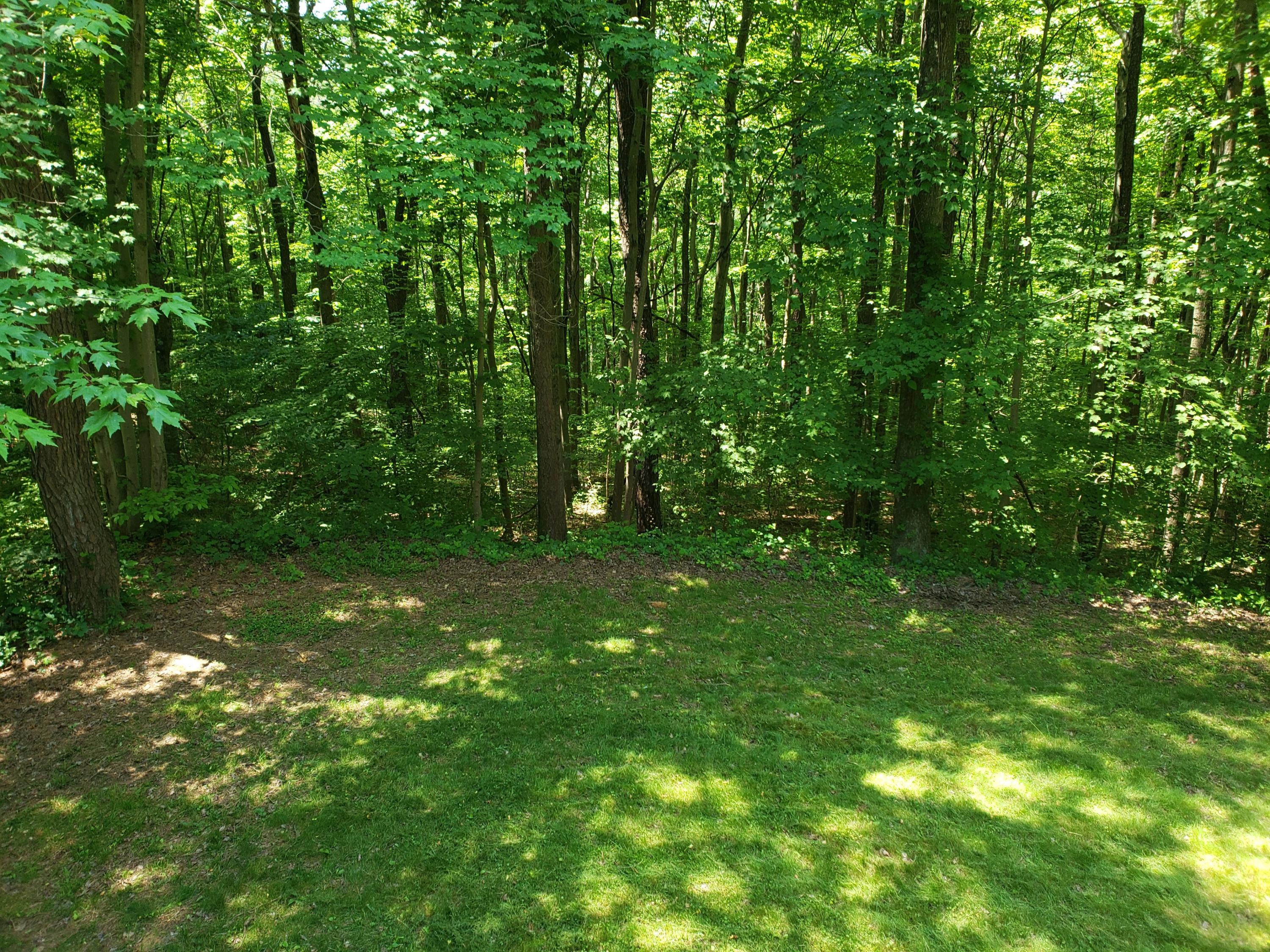 19766 Thompson Ridge Road Laurelville, OH 43135 - Photo 9 of 21