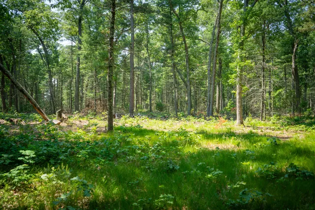 $109,900 | V/l Round Lake Drive, Holton, MI 49425