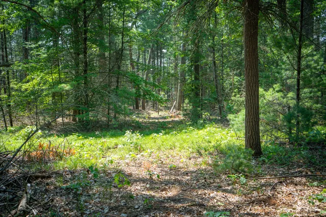 $109,900 | V/l Round Lake Drive, Holton, MI 49425