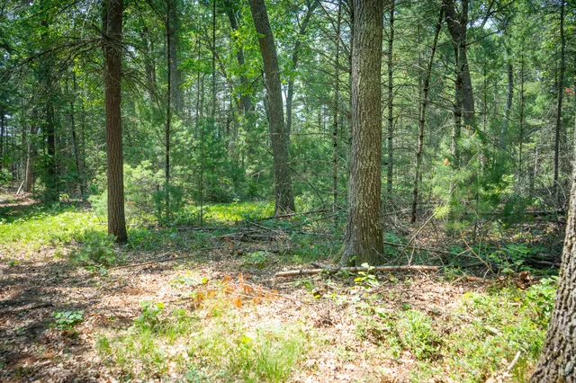 $109,900 | V/l Round Lake Drive, Holton, MI 49425