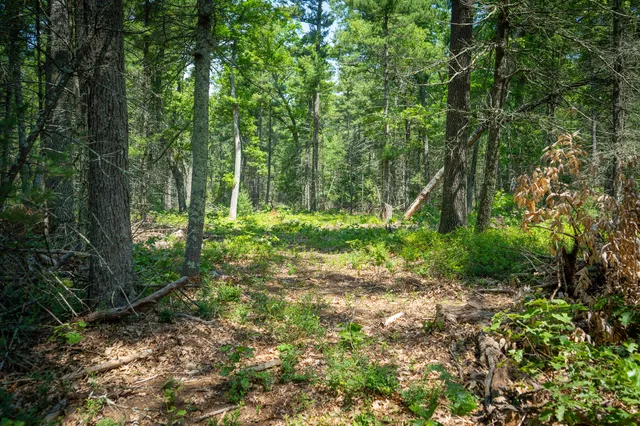 $109,900 | V/l Round Lake Drive, Holton, MI 49425