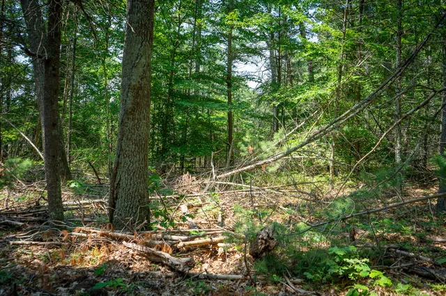 $109,900 | V/l Round Lake Drive, Holton, MI 49425