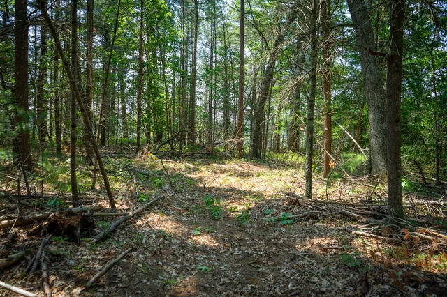 $109,900 | V/l Round Lake Drive, Holton, MI 49425