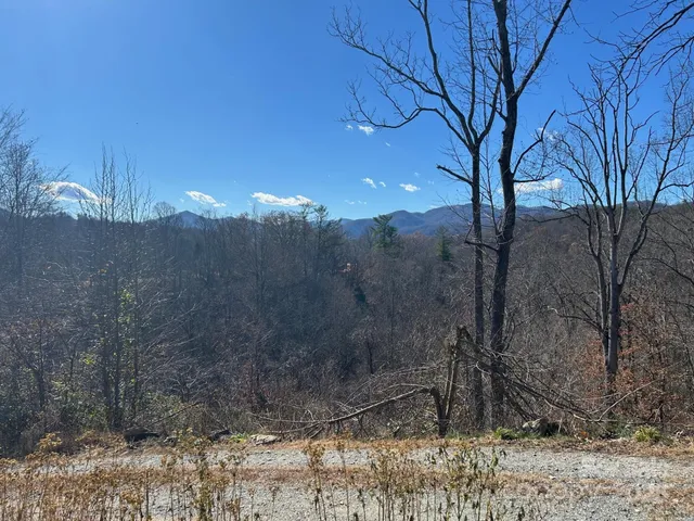 $675,000 | 170 Starry Night Lane, Marshall, NC 28753