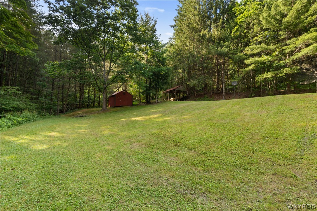 9173 Lyman Road Clarksville, NY 14727 - Photo 36 of 48 Yard