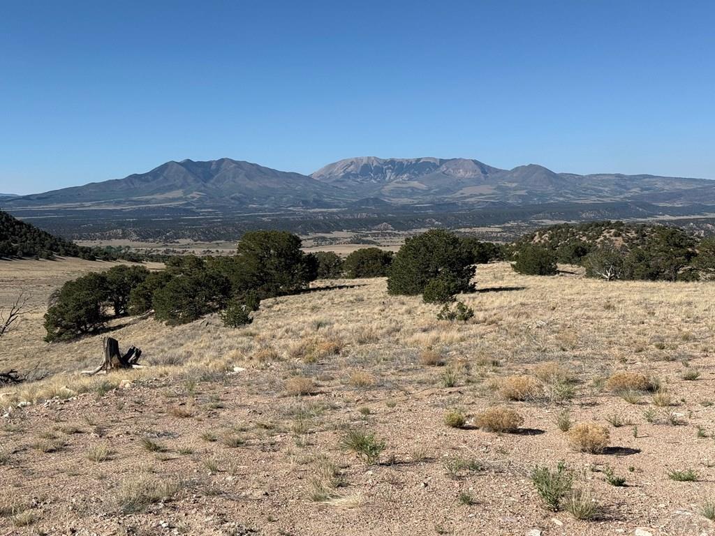 26 Turkey Creek Ranch Gardner, CO 81040 - Photo 7 of 8