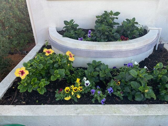 66 Garnet Place Destin, FL 32541 - Photo 35 of 46 IMG_5163 (2)