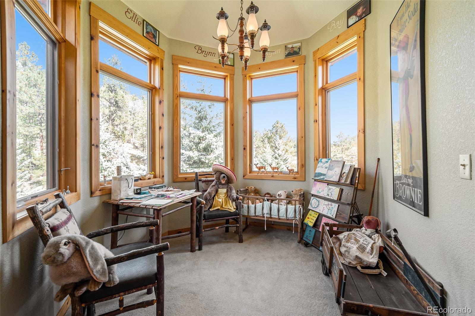 34403 Upper Bear Creek Road Evergreen, CO 80439 - Photo 23 of 44