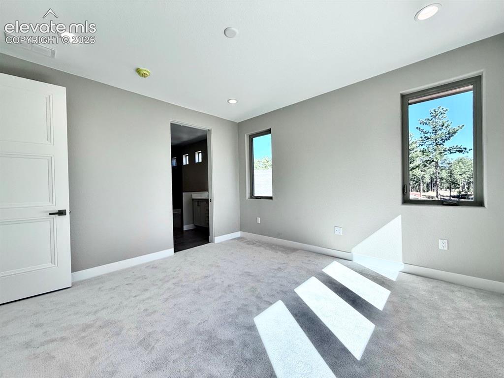 3145 Promise Point Colorado Springs, CO 80921 - Photo 21 of 28