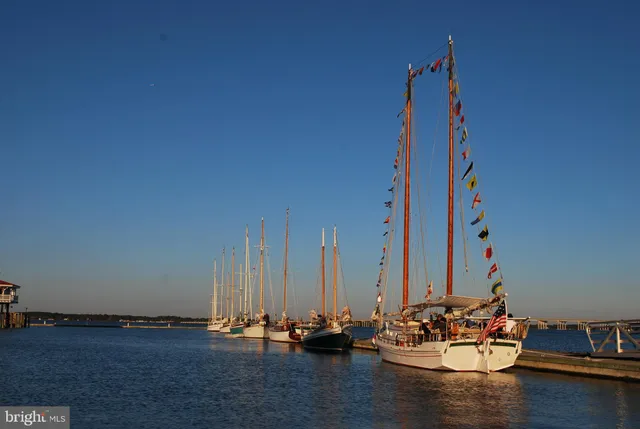 an aerial view of a house with a garden and lake view