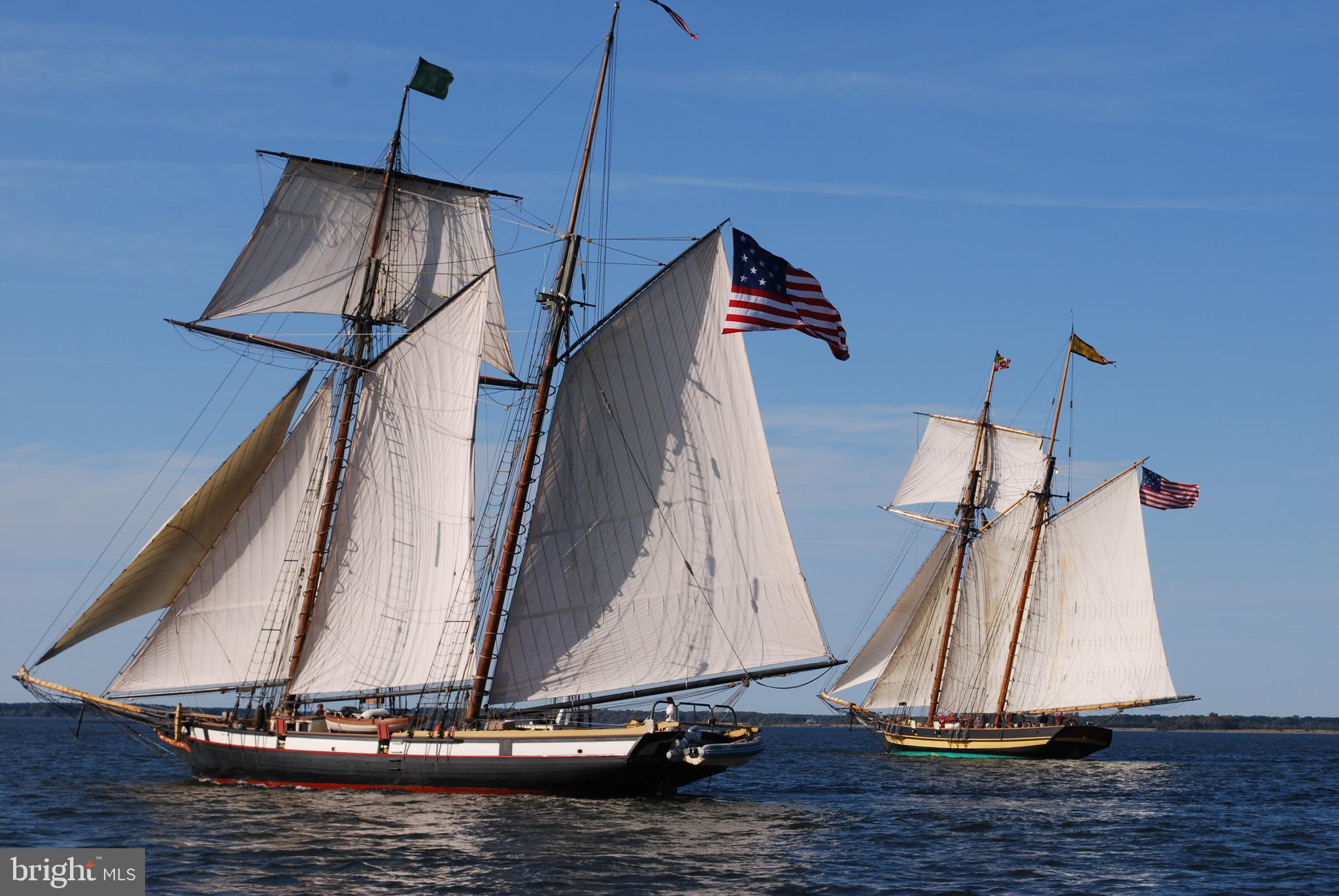 5 Oakley Street, Unit 102 Cambridge, MD 21613 - Photo 34 of 35 Schooner rendezvous in the Choptank River