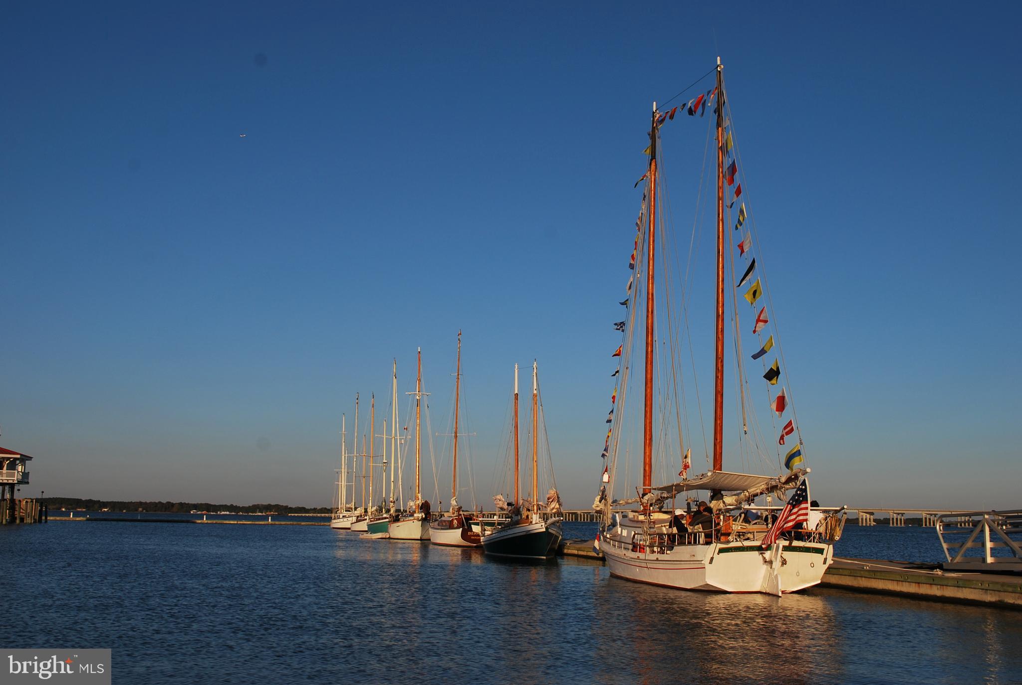 5 Oakley Street, Unit 102 Cambridge, MD 21613 - Photo 35 of 35 Schooners docked at Long Wharf Park