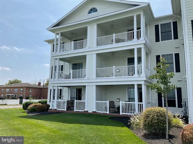 a view of a yard with large windows and a yard
