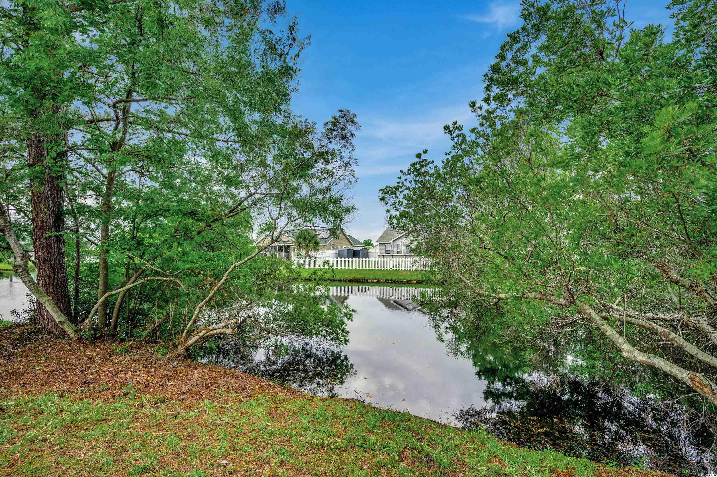 533 Sand Ridge Road Conway, SC 29526 - Photo 30 of 30 Gallery Image 30