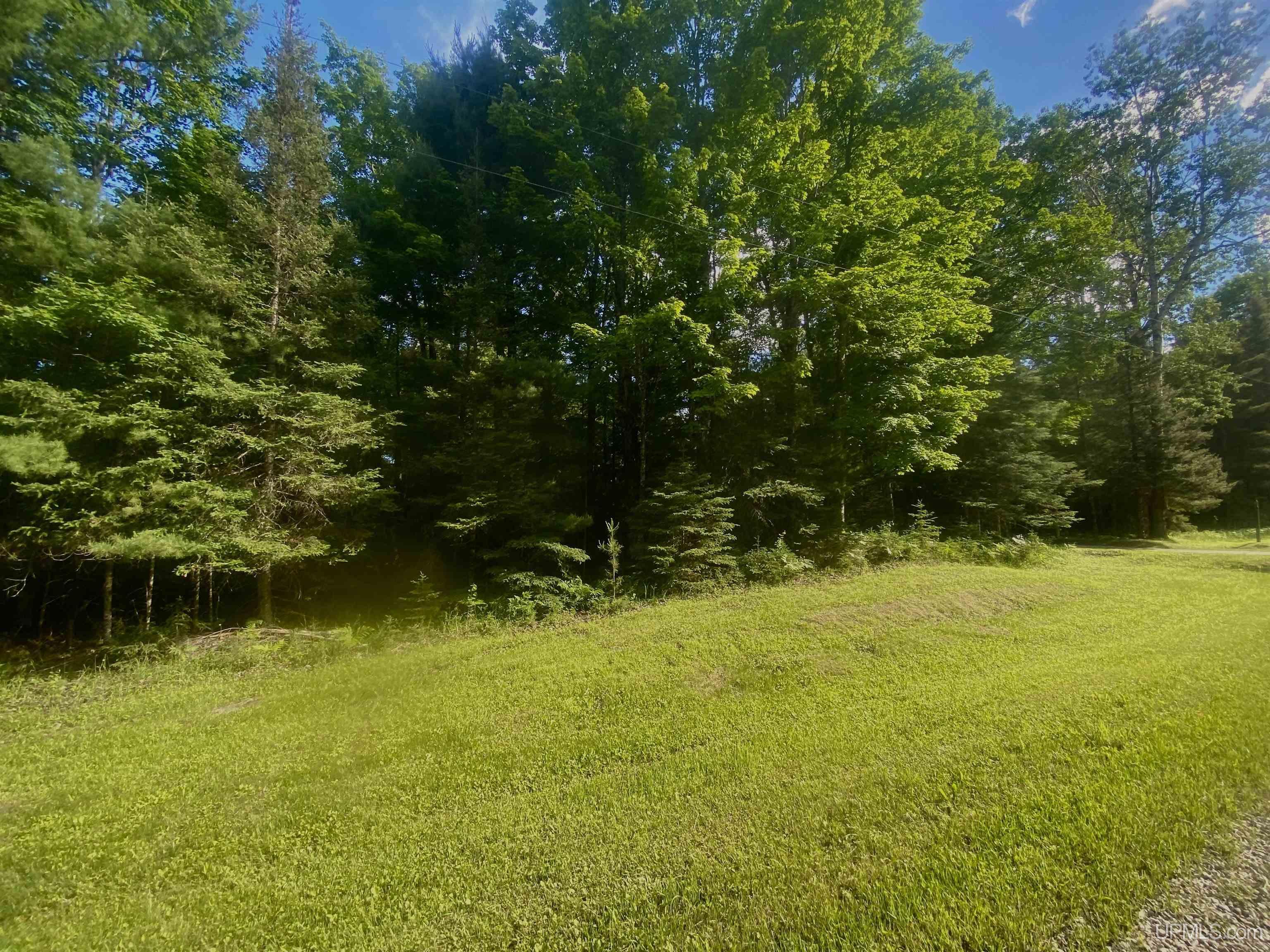 Tbd Cedardale 28th Road Cornell, MI 49818 - Photo 6 of 7