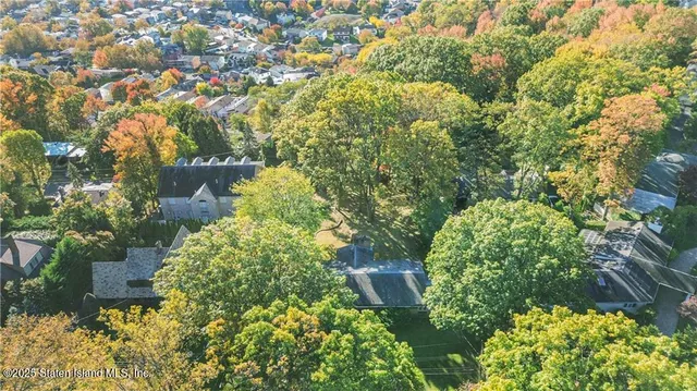 a picture of flowers