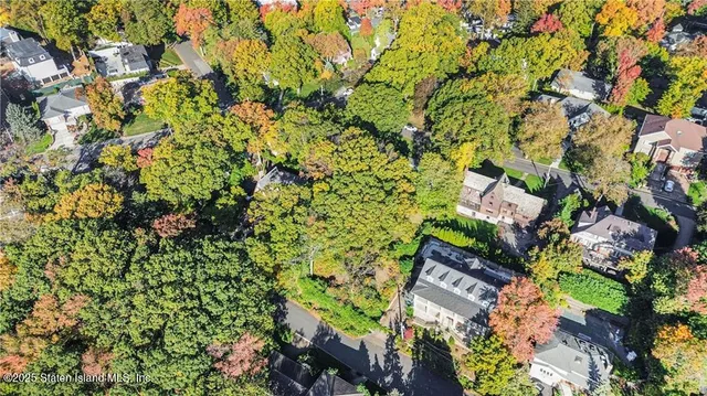 view of a city with flower plants