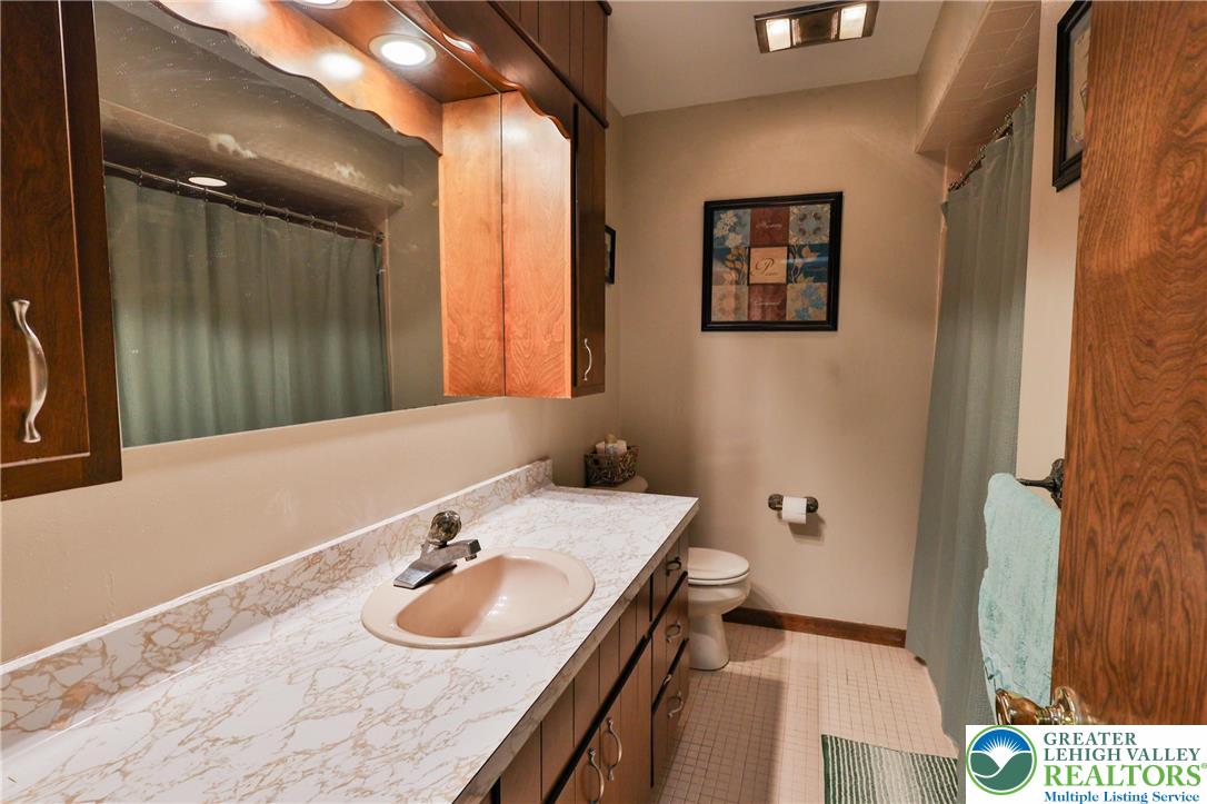 7933 Trails End Fogelsville, PA 18051 - Photo 20 of 32 a bathroom with a sink and a mirror