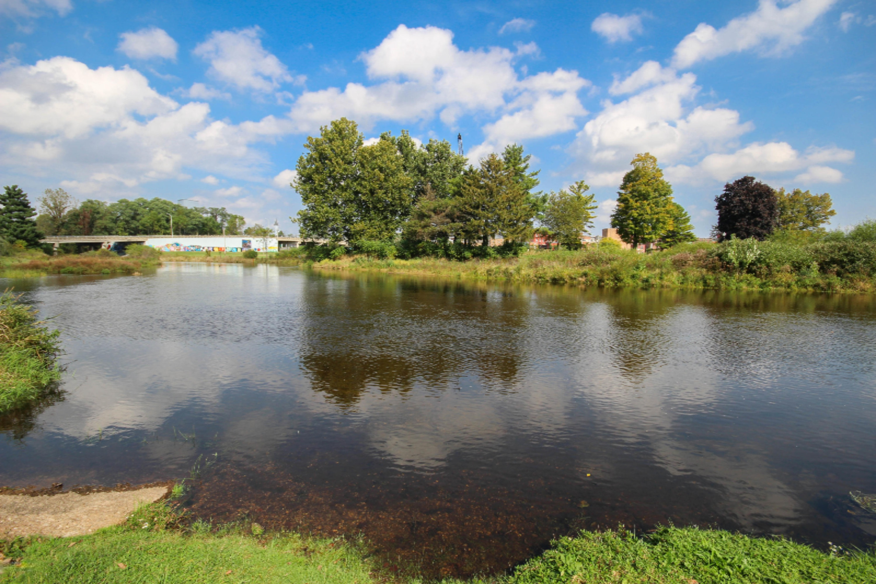 123 North Andrews Street Three Rivers, MI 49093 - Photo 15 of 27 untitled (27 of 28)