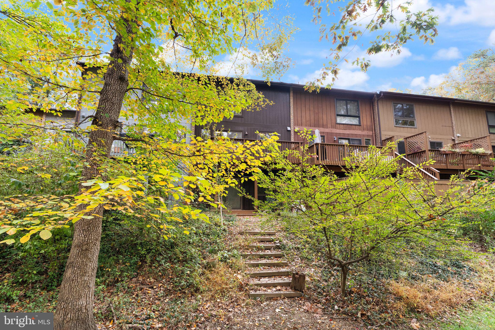 11917 Escalante Court Reston, VA 20191 - Photo 46 of 51 a view of a bunch of plants and flowers
