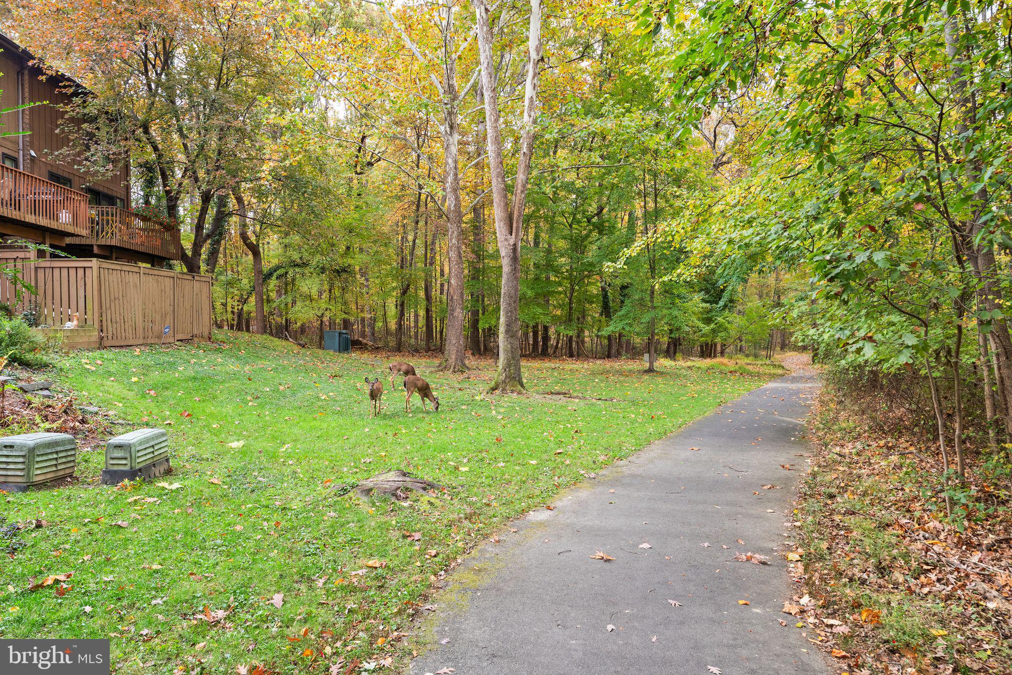 11917 Escalante Court Reston, VA 20191 - Photo 47 of 51 a view of a park with large trees