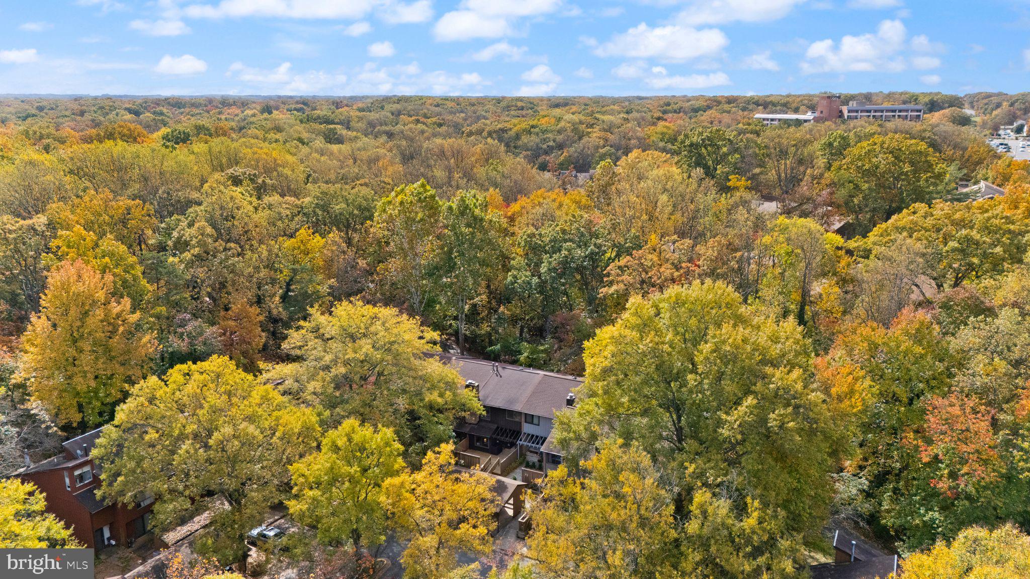 11917 Escalante Court Reston, VA 20191 - Photo 50 of 51