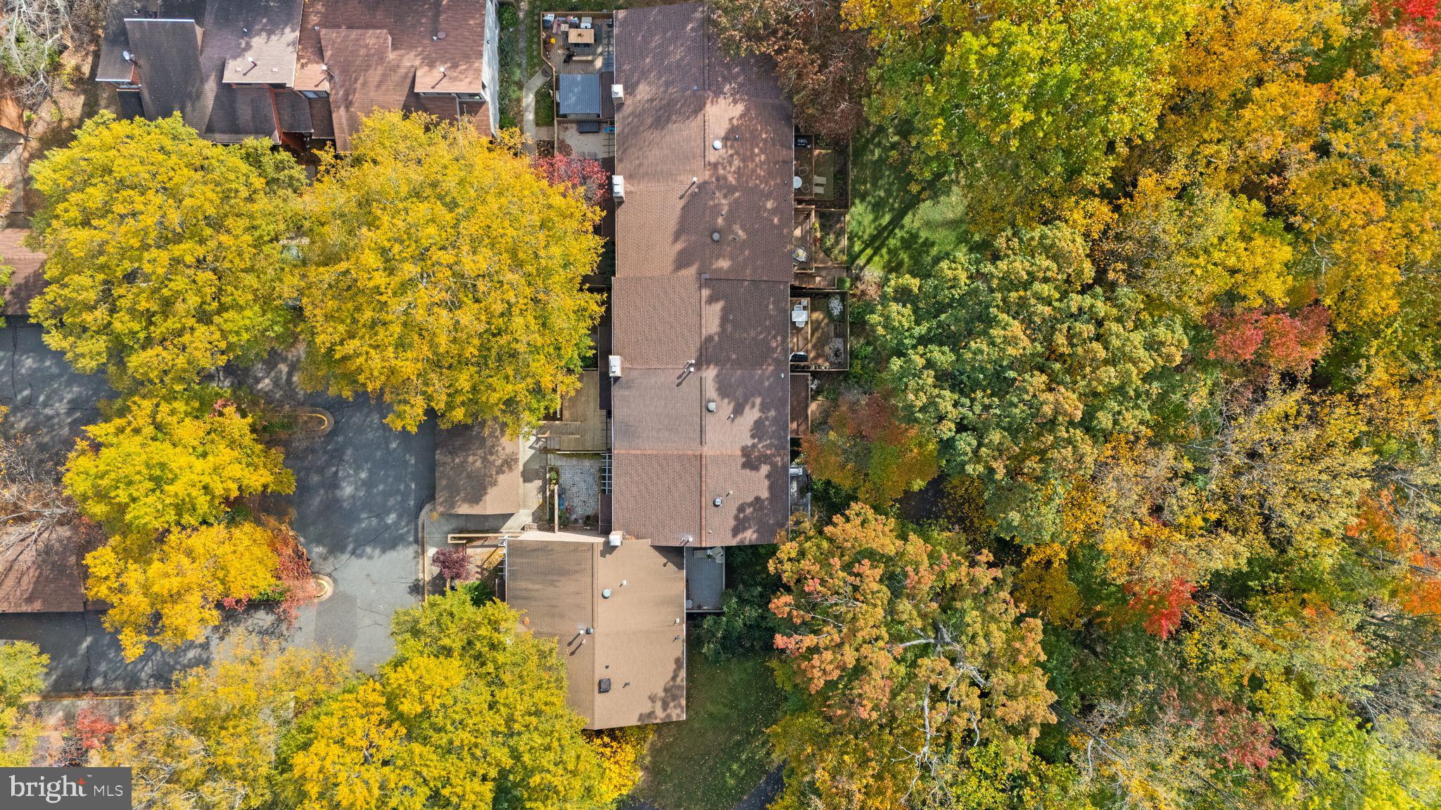 11917 Escalante Court Reston, VA 20191 - Photo 51 of 51 a picture of flowers
