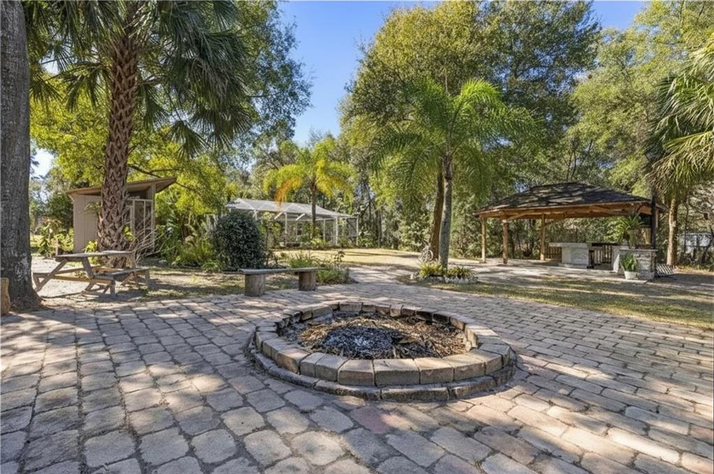9641 Fulton Avenue Hudson, FL 34667 - Photo 47 of 60 a view of a yard with trees