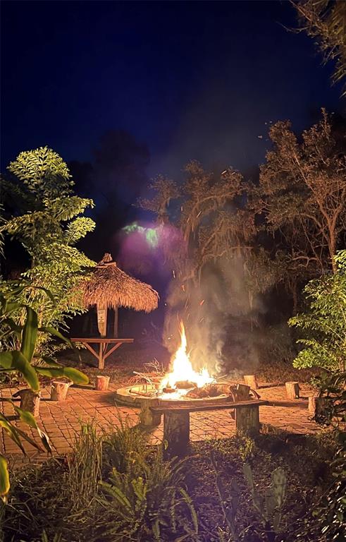 9641 Fulton Avenue Hudson, FL 34667 - Photo 50 of 60 a view of a yard