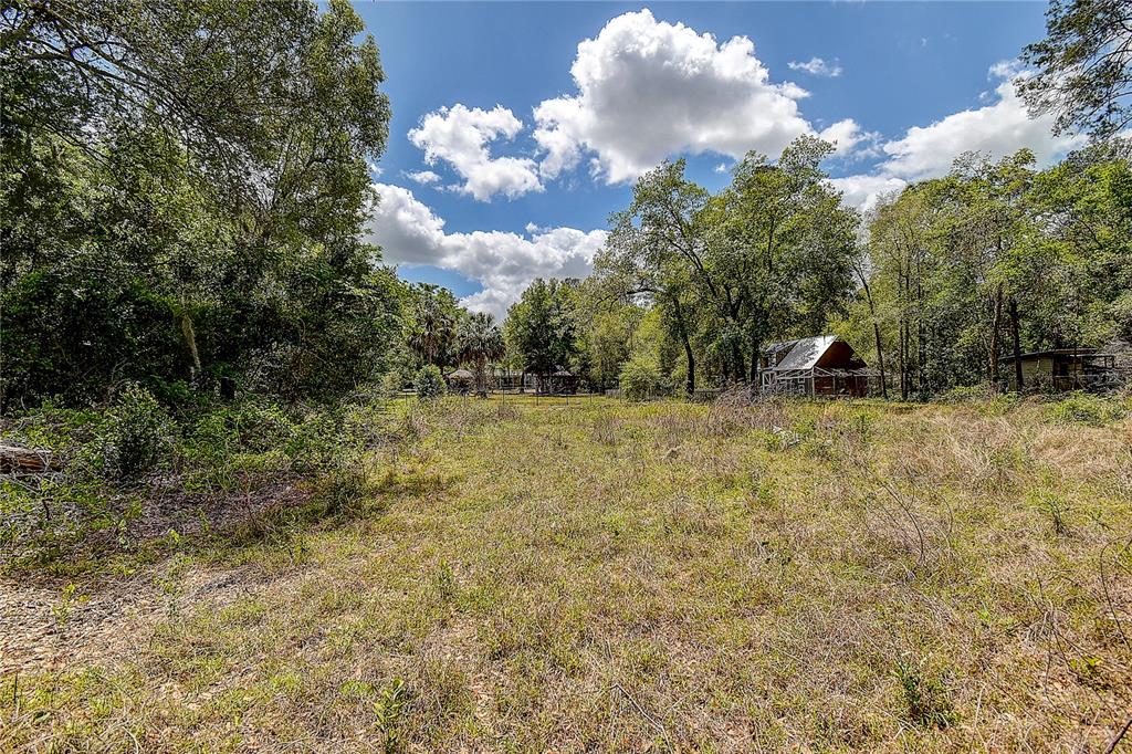9641 Fulton Avenue Hudson, FL 34667 - Photo 53 of 60 a view of a bunch of trees in a yard