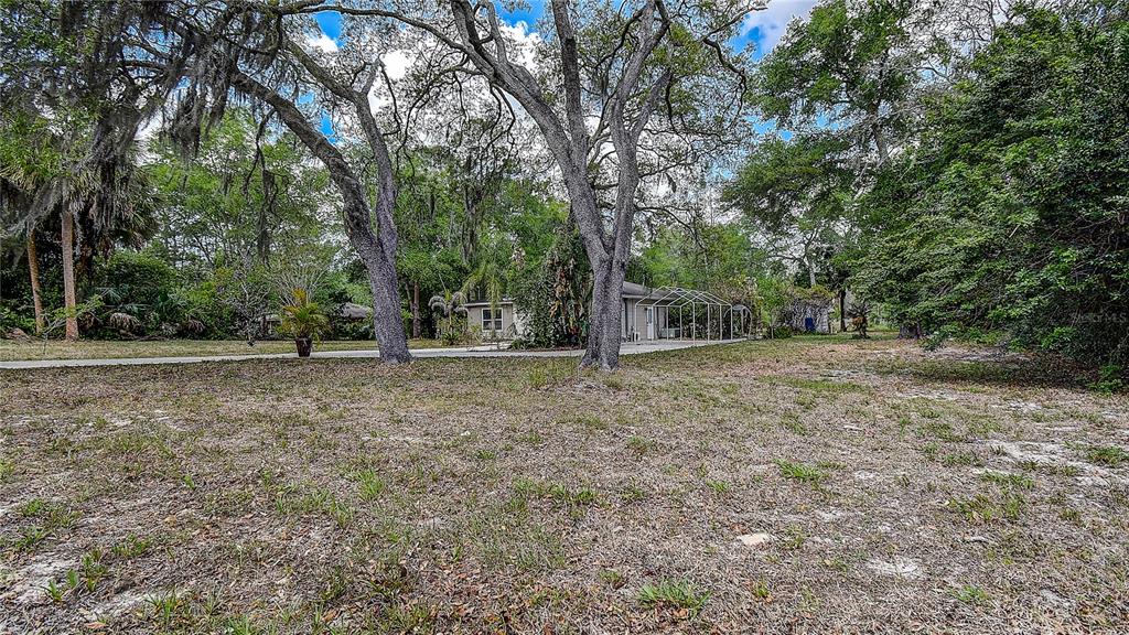 9641 Fulton Avenue Hudson, FL 34667 - Photo 56 of 60 a view of outdoor space and yard