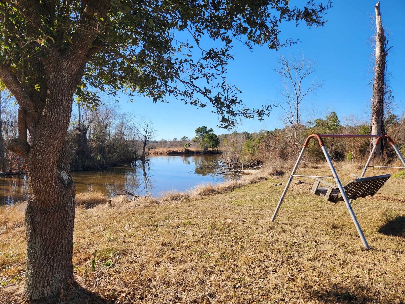 983 Triple Creek Loop Livingston, TX 77351 - Photo 26 of 26 a view of yard