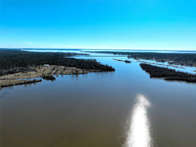 a view of a lot of flowers