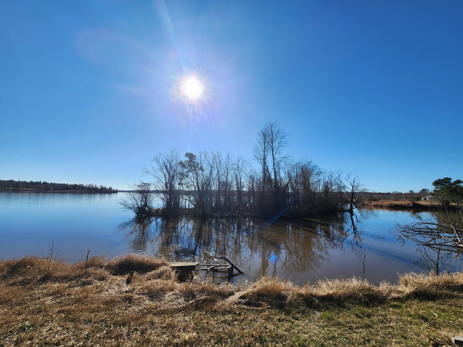 983 Triple Creek Loop Livingston, TX 77351 - Photo 5 of 26 a view of a lake from a yard