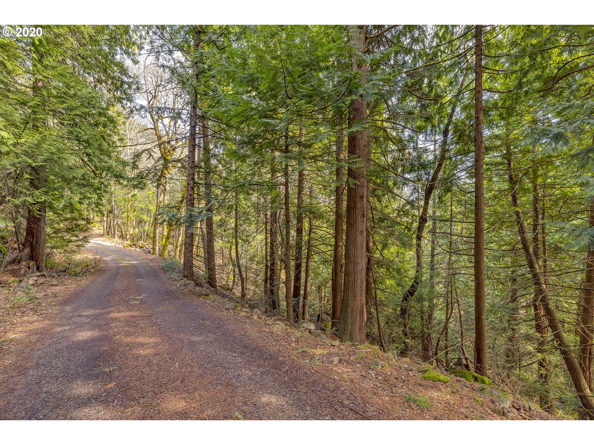 151 Shaddox Springs Road Underwood, WA 98651 - Photo 27 of 32 Driveway