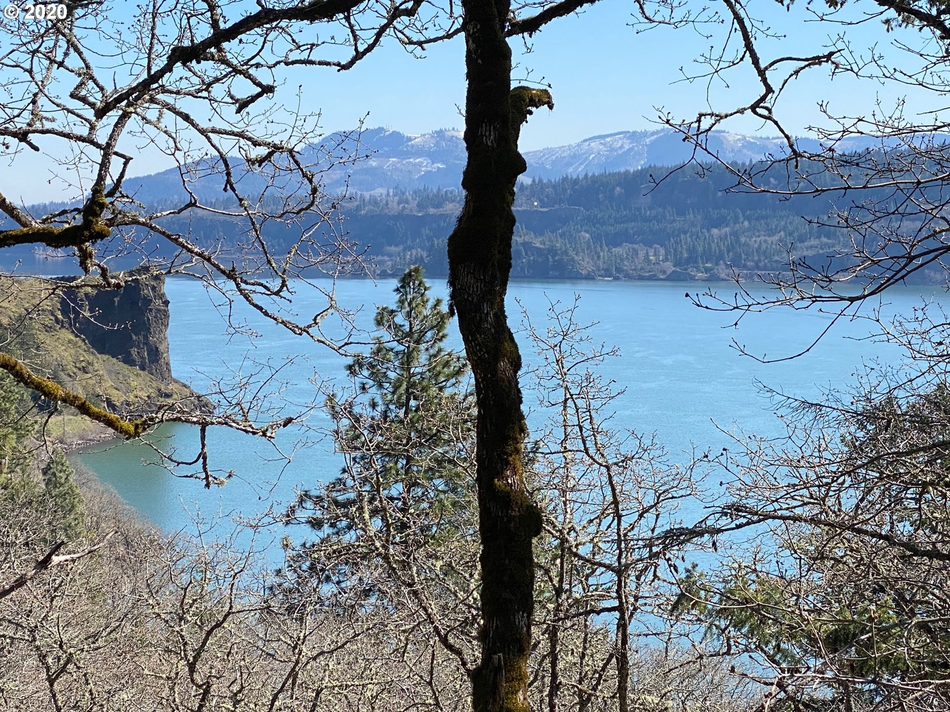 151 Shaddox Springs Road Underwood, WA 98651 - Photo 5 of 32 View